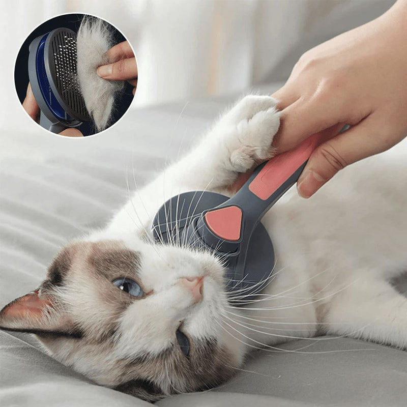 Escova Removedora de Pelos para Pets pets 6 Life Store