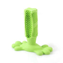 Mordedor e Escova de dentes para Cães pets 8 Life Store Verde P