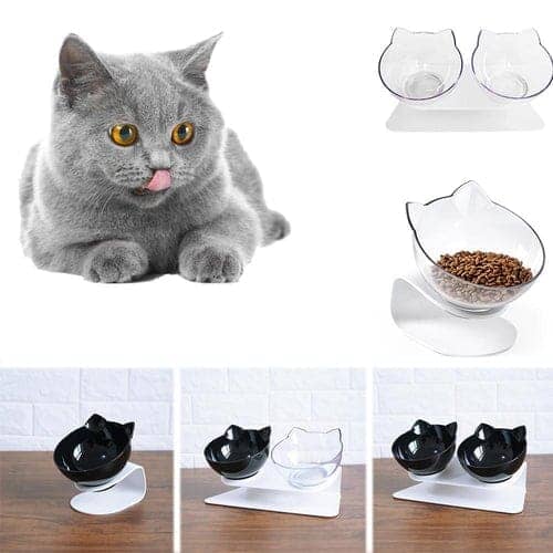 Tigela Ortopédica Anti Vômito para Gatos pets 4 Life Store